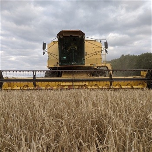 combine harvester combine harvester